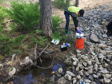 Two people working on a stream in a wooded area.
