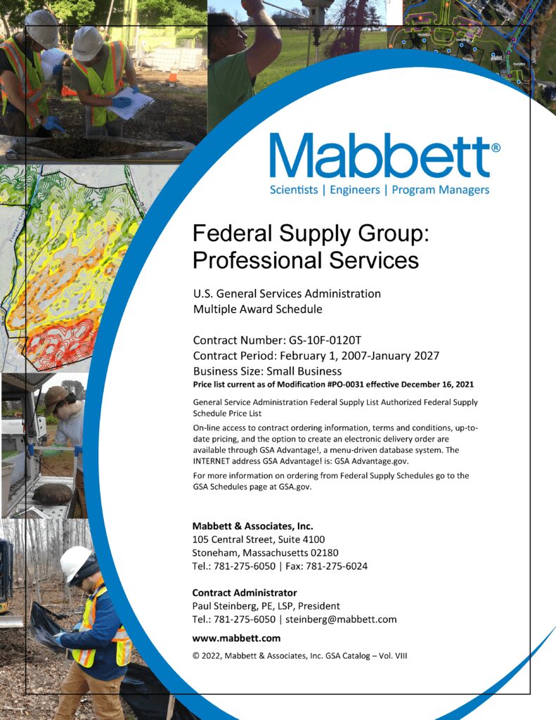 Mabbett professional Services flyer on a white background