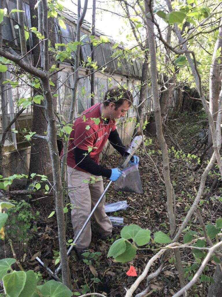 A person picking out trash in the woods