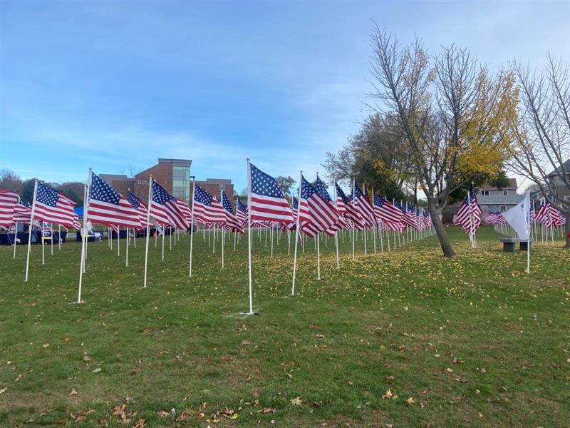 A group of american flags on a grassy field.